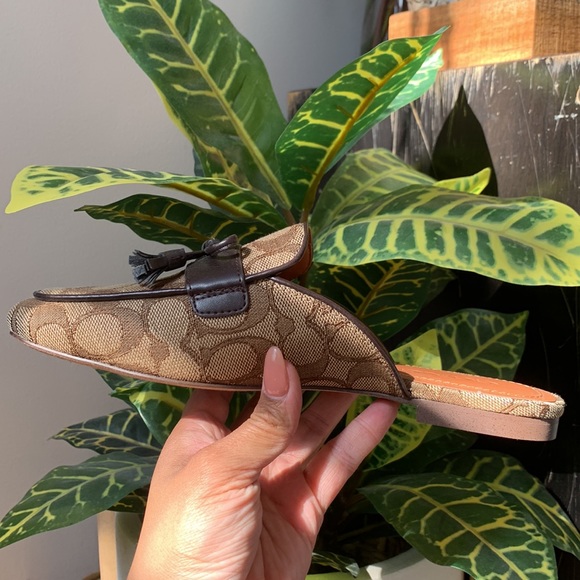 Coach Monogram NWOT mule slides - Picture 9 of 12